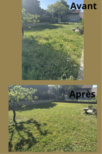 Photo de galerie - Tonte