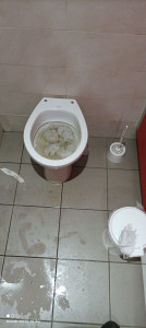 Photo de galerie - Déboucher une toilette complètement bouchée plus nettoyage de toute la toilette dans une station-service