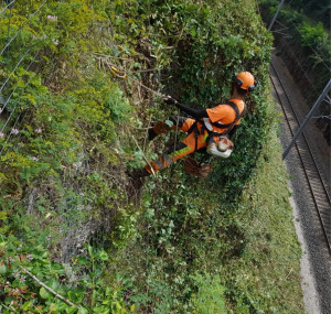 Photo de galerie - Débroussaillage encordé