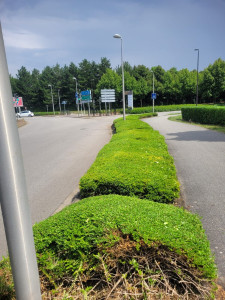 Photo de galerie - Tailles 