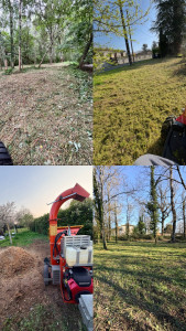 Photo de galerie - .