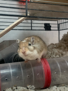 Photo de galerie - Tout type de compagnon