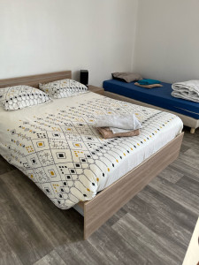 Photo de galerie - Ménage