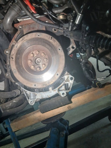 Photo de galerie - Embrayage 