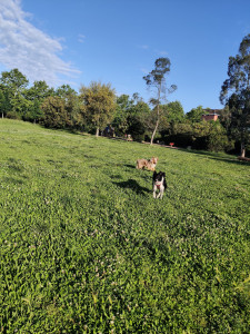 Photo de galerie - Garde de Jack 