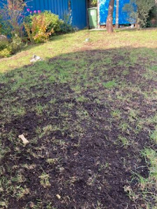 Photo de galerie - Tonte de pelouse - Débroussaillage