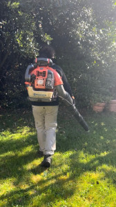 Photo de galerie - Entretien de jardins