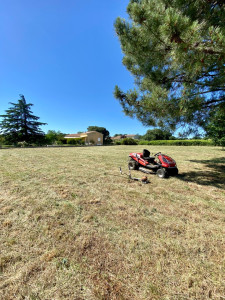 Photo de galerie - Tonte de pelouse - Débroussaillage