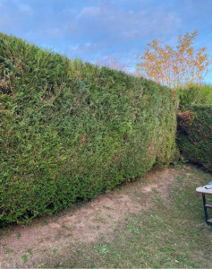 Photo de galerie - Après prestation 