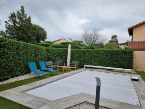 Photo de galerie - Taille de haies