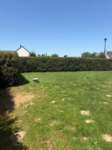 Photo de galerie - Taille de haie sur la commune de parcay meslay 