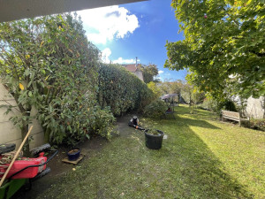 Photo de galerie - Taille de haies et d'arbustes