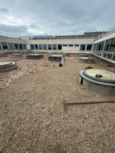 Photo de galerie - Gravillon avant