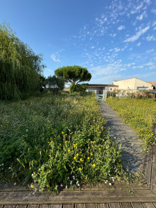 Photo de galerie - Tonte de pelouse - Débroussaillage