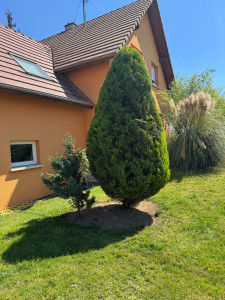 Photo de galerie - Taille