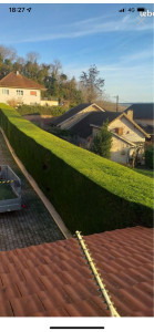 Photo de galerie - Taille de haies et d'arbustes