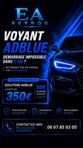 Photo de galerie - Solution ADBLUE