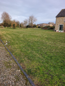 Photo de galerie - Tonte - 2000 m²