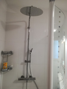 Photo de galerie - Remplacement colonne de douche 