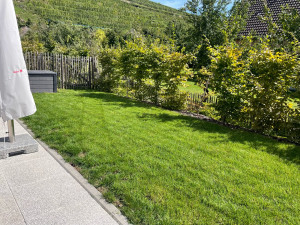 Photo de galerie - Entretien d’espace vert 