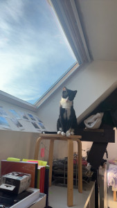 Photo de galerie - Booba, 2 x 2 week-end de 3 jours en décembre 2025