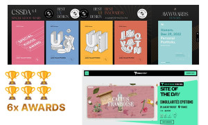 Photo de galerie - 6 awards reçus 