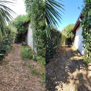 Photo de galerie - Remise en état d'un jardin laisse en friche plusieurs mois 