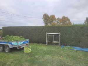 Photo de galerie - Taille haie