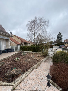 Photo de galerie - Abattage 