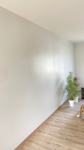 Photo de galerie - Peinture - Tapisserie