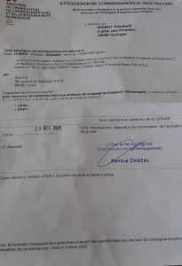 Photo de galerie - Attestation de connaissances nécessaires à l'exercice d'activités liées aux animaux de compagnie chien et chat 2025