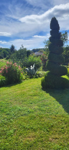 Photo de galerie - Tonte et entretien jardin
