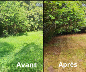 Photo de galerie - Avant après 