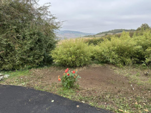 Photo de galerie - Nettoyage jardin