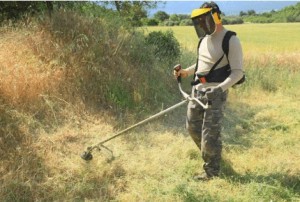 Photo de galerie - Tonte de pelouse - Débroussaillage
