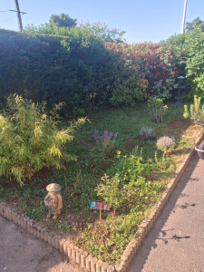 Photo de galerie - Paysagiste - Aménagement du jardin