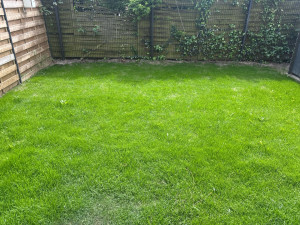 Photo de galerie - Jardinier