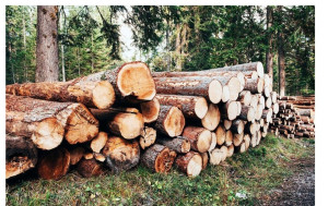 Photo de galerie - Vente bois de chauffage et bois en général q