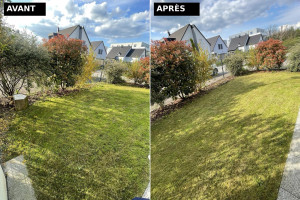 Photo de galerie - Tonte et réaménagement extérieur ?