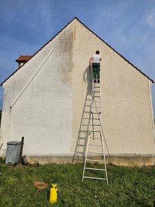 Photo de galerie - Nettoyage pignons client satisfait 