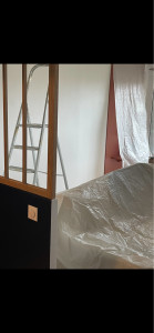 Photo de galerie - Coupe cloison existante pose de cloison claustra bois , ratissage ponçage & peinture 