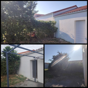 Photo de galerie - Taille d'un haie