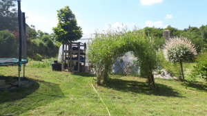 Photo de galerie - Mon ancien jardin