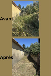 Photo de galerie - Tonte de pelouse - Débroussaillage