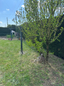 Photo de galerie - Tonte de pelouse