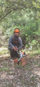 Photo de galerie - Débroussaillage forestier