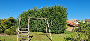 Photo de galerie - Taille de haies et d'arbustes