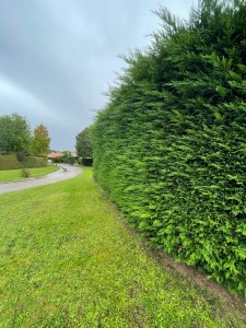 Photo de galerie - Avant 