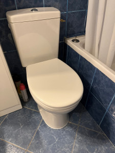 Photo de galerie - Pose du Wc