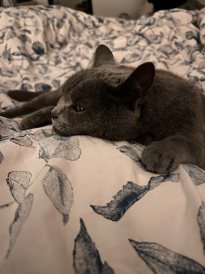 Photo de galerie - Ma jolie minette